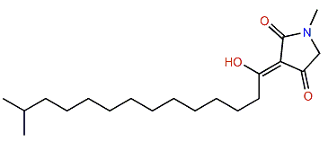 Melophlin H